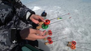 Зимние Удочки своими руками! Мой набор безмотылок.