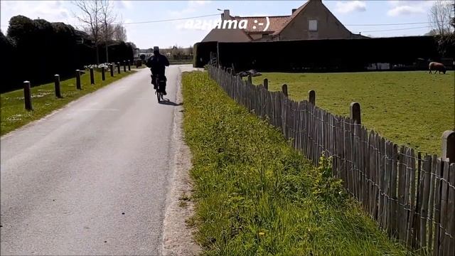 Оленята,ягнята,овцы,коровы и прочие обитатели бельгийской деревни.Животные,природа,отдых,туризм