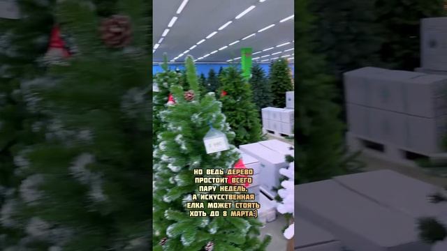 Какую выбрать ель на новый год смотреть онлайн