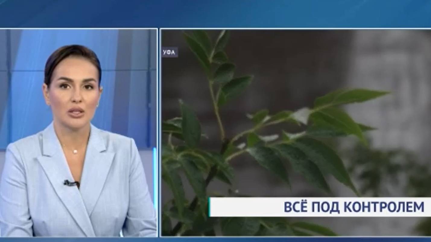 Оползни и переливы дорог: в Башкирии продолжают бороться с дождевым паводком смотреть онлайн