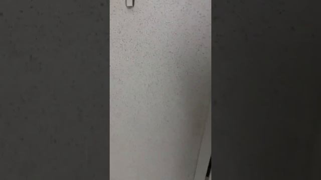 Сдаётся в аренду офис 130 кв. Метров. Ульяновск. смотреть онлайн