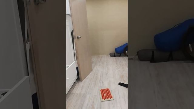 Как носят носки девочки и мужики смотреть онлайн