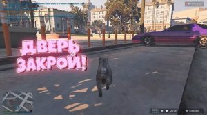 СМОТРЮ ПОД ЮБОЧКИ ЗА КОТА в GTA 5 RedAge