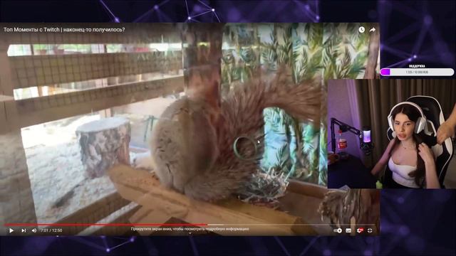 VISSHENKA смотрит Топ Моменты с Twitch | наконец-то получилось? РЕАКЦИЯ смотреть онлайн