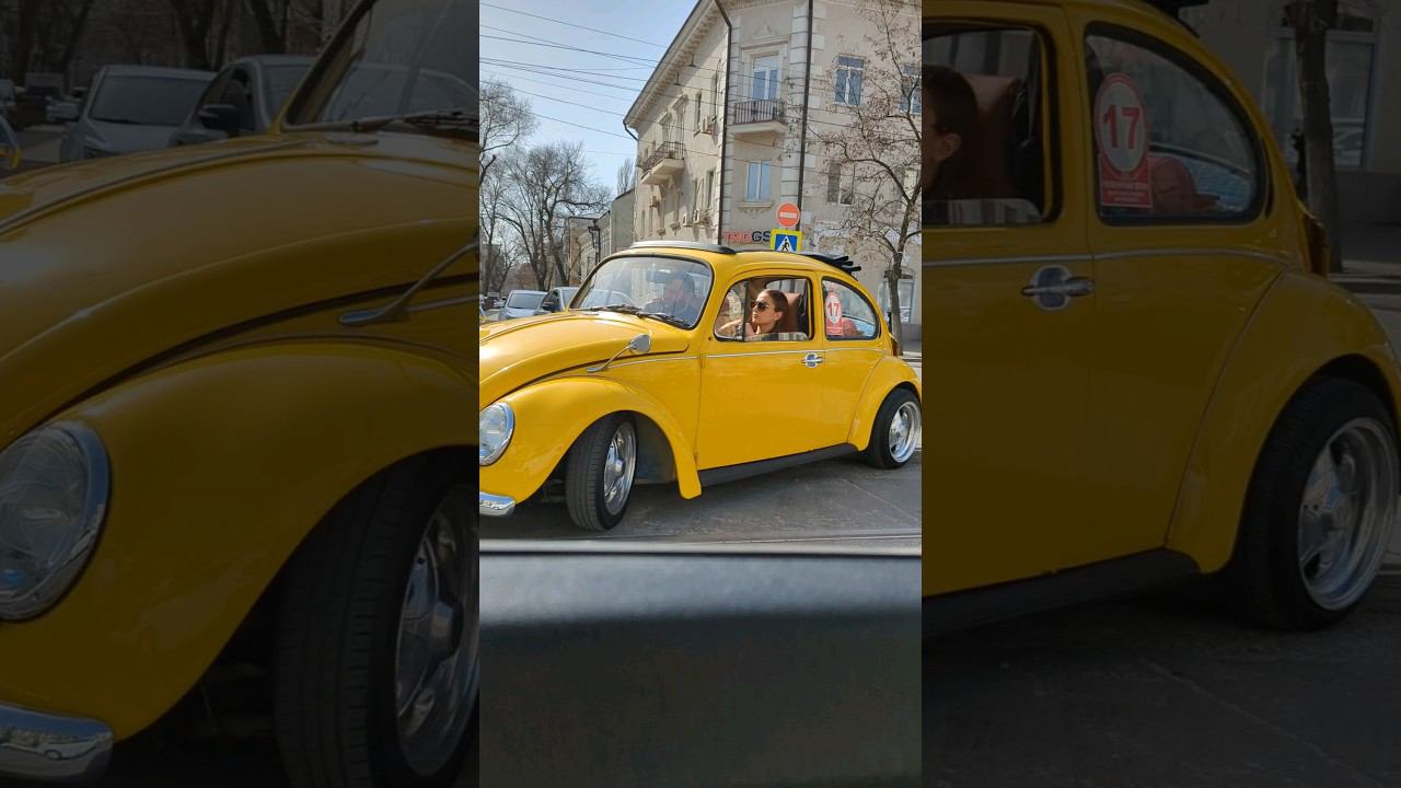 Жук #shorts смотреть онлайн