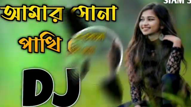 Akbar koilau Tumi Raji Ami ghotok pathamu dj remix song 🔥💥 dj Arafat Sound King 🔥🔥 смотреть онлайн