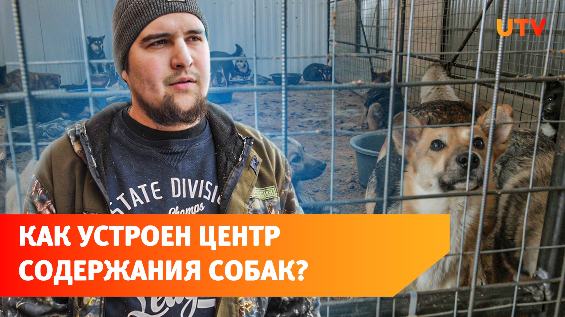 Куда увозят собак, выловленных на улицах Уфы? Мы побывали в одном из таких приютов