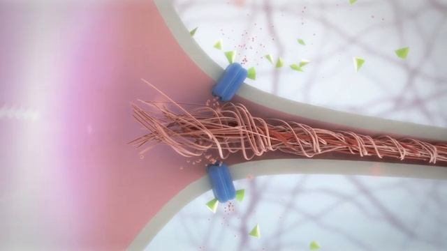 Ampligo- Mode Of Action Syngenta India