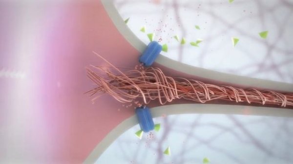 Ampligo- Mode of Action Syngenta India