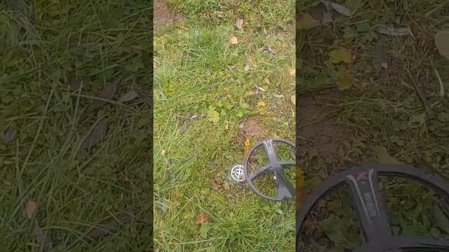 Поможет ли Дэусу ( XP Deus ) Большая катушка на сложной почве ? смотреть онлайн
