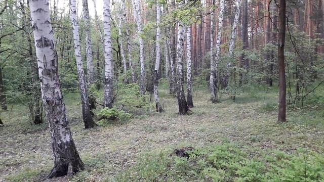 Любимый Бог , Родной Отец , в обилие Судов Твоих введи меня по благодати смотреть онлайн