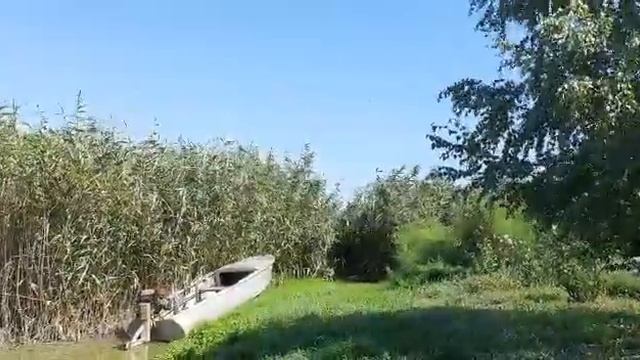 Брюховецкая я вырос в станице Бюховецкой авторская песня Алексей Иванов смотреть онлайн