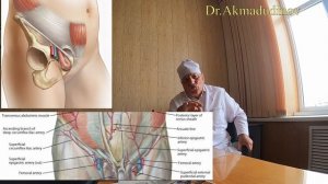 Брюшная стенка. Грыжи. Часть 4. Проф. Ахмадудинов М.Г.