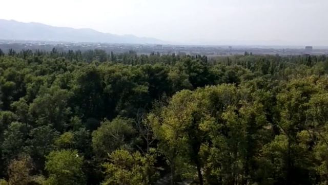 Рамзан Кадыров Ахмат сила Аллаху Акбар чеченский ловзар video music смотреть онлайн