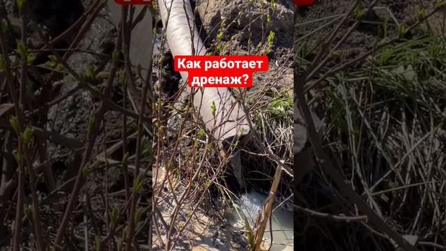 Идеальный Дренаж участка СПб #дача #дренаж #строительство #дачныйвлог #ливневка spbgaleon.ru смотреть онлайн