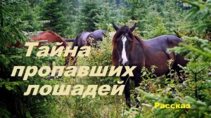 Тайна пропавших лошадей.. 1 (рассказ)