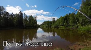 ЛЕТНЯЯ ЖЕРЛИЦА #рыбалка #щука #спиннинг #fishing #pike #pikefishing #perch