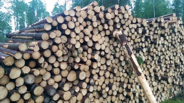 Лесозаготовительная база, "Северная лесная компания" Кировская область смотреть онлайн