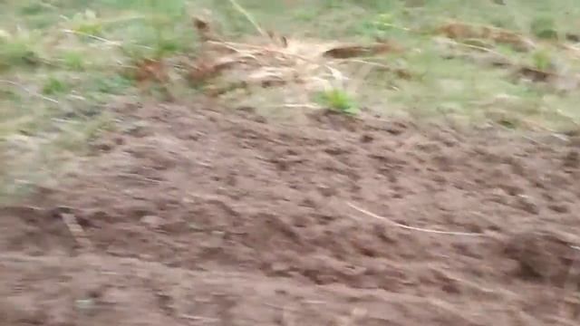 Кубота 1802 пашет целину почвофрезой... смотреть онлайн