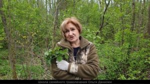 Крапива не только обжигает!