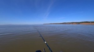 Вот это СУДАК клюнул! Рыбалка на Каме с лодки! Открываем сезон до запрета!