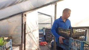 Простой парень показывает свой бизнес ??