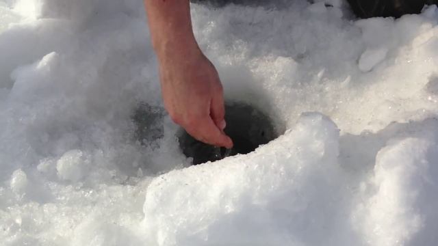 В поисках красноперки смотреть онлайн