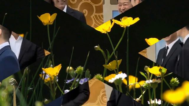 张译逗乐章子怡，#王一博 调侃开裆裤，朱一龙为华表奖上演不少尴尬。#wangyibo #uniq #starnewsworld24h смотреть онлайн