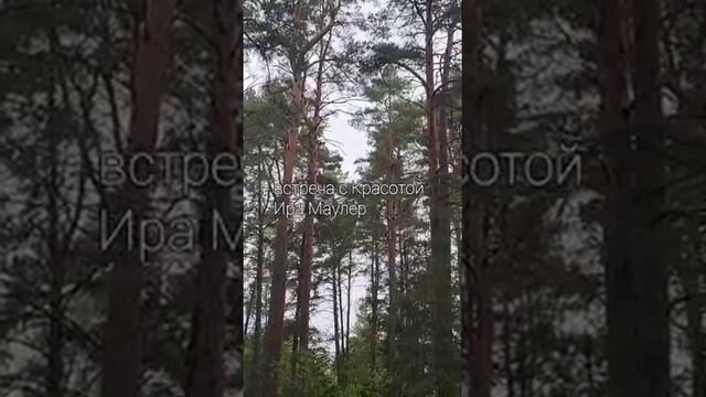 15 октября 2022 г. смотреть онлайн