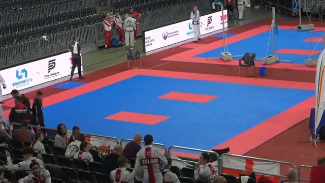 European Taekwon-do I.T.F. Champioships - Ring 3 - Day 1 смотреть онлайн