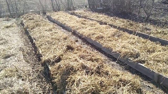 Работы в марте на огороде//С чего начать сезон// Малина и мульча//Секреты хороших урожаев. смотреть онлайн
