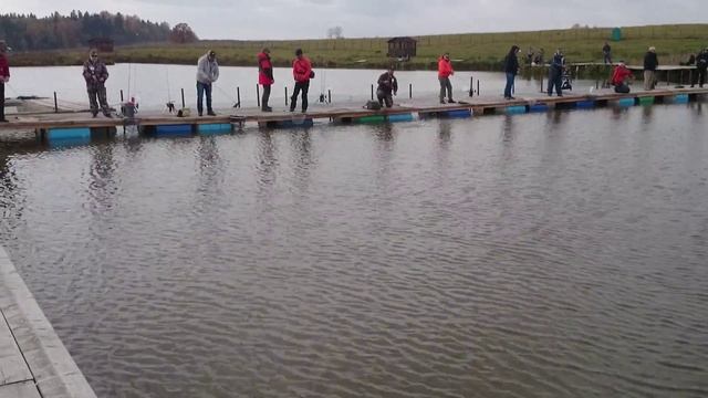 Турнир по ловле форели в КРХ Парамоново смотреть онлайн