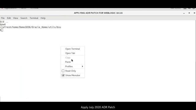 [WLS 10.3.6] Steps to apply ADR patch on WebLogic Server смотреть онлайн