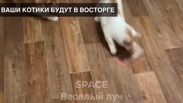 Лазерная указка "Space Веселый Луч" игрушка для кошек и собак. смотреть онлайн