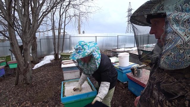ПЧЕЛОВОД СДЕЛАЙ ЭТУ НЕОБХОДИМУЮ РАБОТУ В ПРОХЛАДНУЮ ПОГОДУ И БУДЬ СПОКОЕН. смотреть онлайн