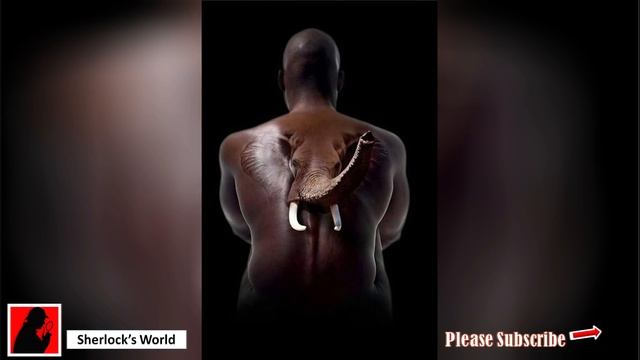 Amazing 3D Tattoos 2018 That Will Make You Do A Double Take 100% смотреть онлайн