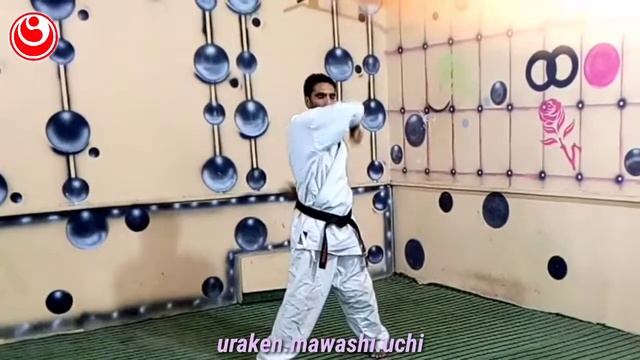 Beginner Online Kyokushin Karate Training Class White To Red Belt