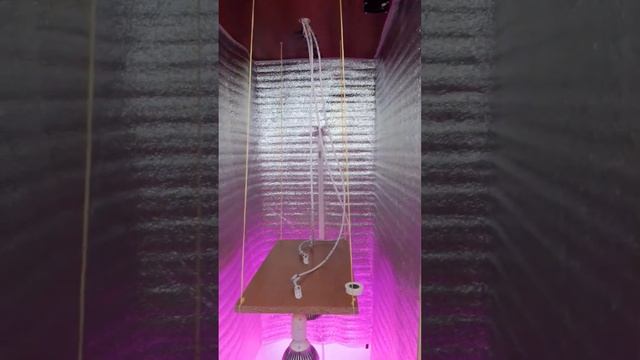 Гроубокс своими руками. Список составляющих для гидропонной установки в описании. смотреть онлайн