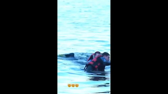 ЛИТВИН ПЕРЕПЛЫЛ РЕКУ СУБОЙ смотреть онлайн