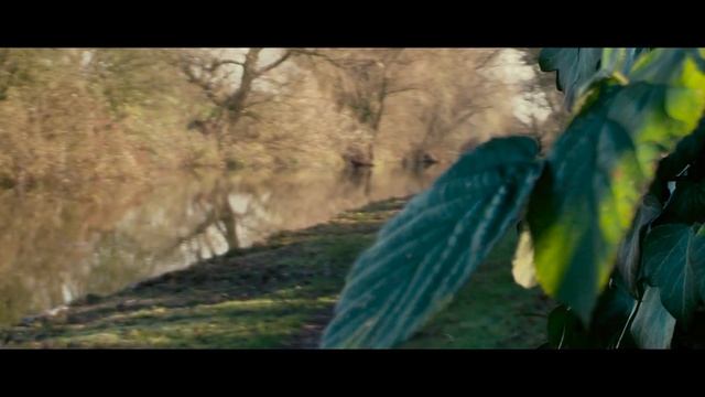 Canal - Canon Legria HF G40 смотреть онлайн