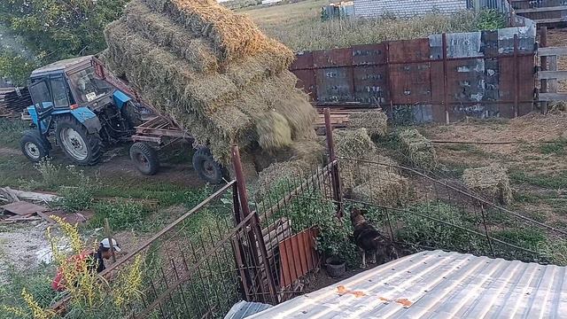 хозяйство смотреть онлайн