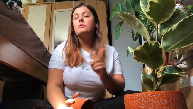 Repot *and make a mess* With me | Ficus Elastica Tineke смотреть онлайн