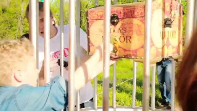 ФРАНШИЗА ФОРТА АВЕНЮ смотреть онлайн