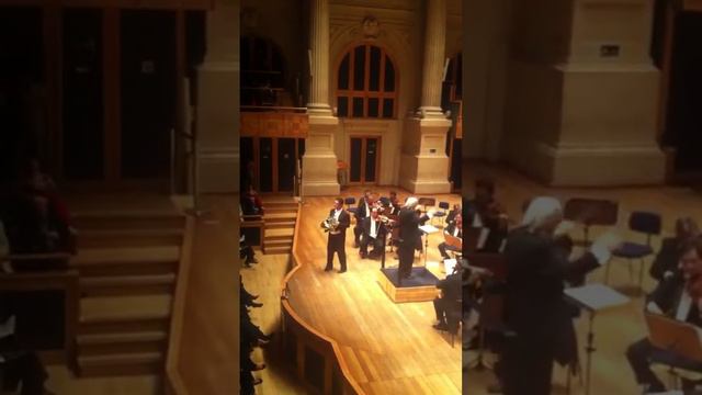Samuel Hamzem - Mozart #2 Horn Concerto. July 30th, 2013. смотреть онлайн