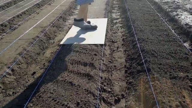 Как мы сделали грядки под клубнику. (бурты) Просто, быстро, эффективно!!! смотреть онлайн