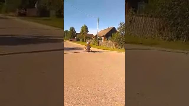 Гироскутер Варя и Арсений смотреть онлайн