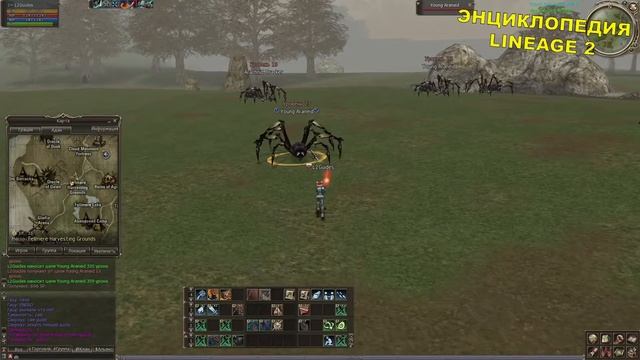 (21+) Making the Harvest Grounds Safe (Gludin) (Адена) Lineage 2 смотреть онлайн