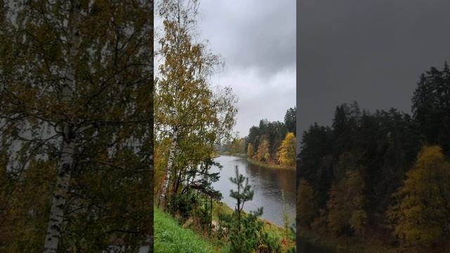 Осеннее..☔..эссе.. смотреть онлайн