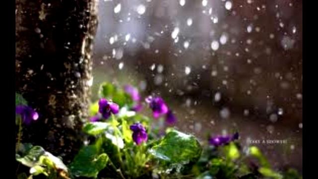 СВЕТОВЫЕ ПОМОШНИКИ 2023 Автор: Магда Фьюния смотреть онлайн