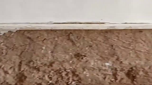 дом ремонт / шпаклёвка и краска дом ? shpakilovka kraskasi bilan смотреть онлайн